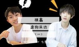 男团采访爆料视频大全集